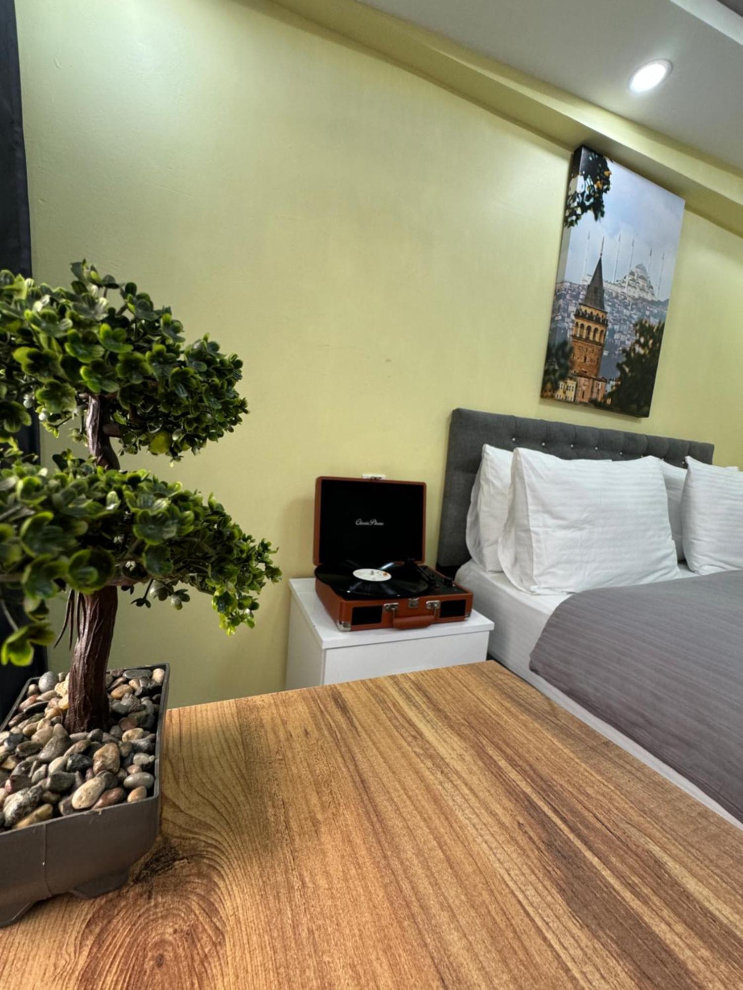 Otel Ozer & *